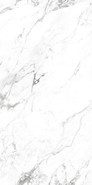 Керамогранит Pompeo Digital Glazed 60x120 Artecera Marble Collection матовый универсальная плитка AC126100B