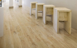 Logwood