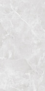 Керамогранит Ambition Silver (Carving)  60х120 Belleza полированный универсальная плитка СК000043630