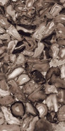 Керамогранит Volcanic Agate high glossy 60х120 Ennface Accent супер полированный универсальный ENACN1013HG60120