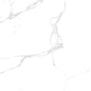 Керамогранит Silver White 60х60 полированный Belleza напольный 00-00000289