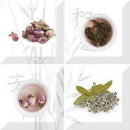Aroma Fosker