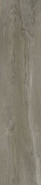 Керамогранит GFA92WTD44R матовый Westwood 200х900х7 Almaceramica напольный