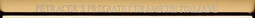 Бордюр Matita Oro Con Griffe 1.5x20 Petracer`s Grand Elegance Gold глянцевый керамический MTGR 03