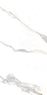 Керамогранит глазурованный ректифицированный Kritios/60x120/EP универсальный полированный