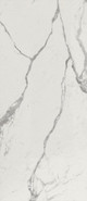 Настенная плитка Roma Gold Carrara Superiore Brillante 50x120 Fap Ceramiche глянцевая керамическая 36964
