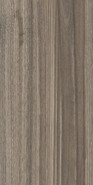 Настенная плитка Essense Brown WT9ESS08 24.9x50 матовая керамическая