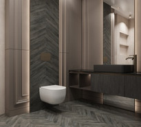 Burmese Dark Grey