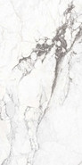 Керамогранит Sublime Iceberg/60х120/EP-60X120 Peronda полированный универсальный 38625