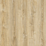 Home Standard 4V