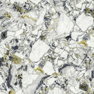 Керамогранит Forte Dei Marmi Quark Ceppo Apuano Forest Rett 80x80 Atlas Concorde матовый универсальная плитка 610010002971