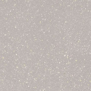 Керамогранит Moondust Silver Polpoler Paradyz Ceramika 59.8x59.8 лаппатированный (полуполированный) универсальный 131119009951