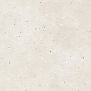 Керамогранит G-41/MR/600x600x10 универсальный матовый