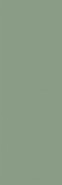 Настенная плитка Ekzotic Olive 30х90 MP000024904 Creto матовая керамическая NB_0403