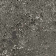 Керамогранит Artic Antracita Pul. 120x120 5,6 Grespania Ceramica S.A. полированный универсальный 36479