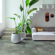 Alpha Vinyl Illume