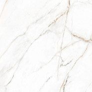 Керамогранит Torano Dorado 60х60 Polished Pamesa полированный универсальный С0004839