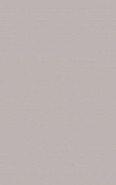 Настенная плитка Monica Taupe 25х40 MP000023697 Creto матовая керамическая
