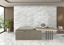 Plazo Aqua