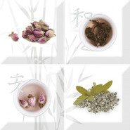 Aroma Fosker