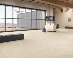 Эверстоун Х2 (Everstone X2)