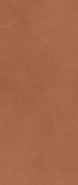 Настенная плитка Prism Caramel 50x120 матовая керамическая