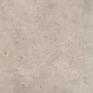 Керамогранит Starlight Grys Gres Szkl. Mat. 60x60 G1 Paradyz Ceramika матовый универсальный 5904584150616