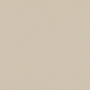 Керамогранит Modernizm Bianco Gres Rekt. Mat. 19,8x19,8 Paradyz Ceramika матовый универсальный 5900144001169