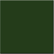 Настенная плитка Verde Botella Brilla 20х20 глянцевая