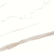 Керамогранит Gold Carving Primavera 60x60 полированный напольная плитка CR112