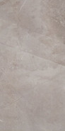 Настенная плитка W- Silver-29,8x59,8 глянцевая керамическая