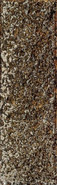 Декор D- Goldgreen Mix 22x7,2 Tubadzin глянцевый, матовый керамический