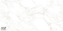 Керамогранит Marble Extra Endless mat 60х120 NT Ceramic Marmo матовый универсальная плитка NTT99526M