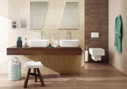 Domus