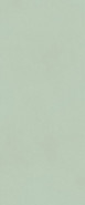 Настенная плитка True Color Matcha Matt 50x120 Fap Ceramiche матовая керамическая fTDV
