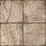 Керамогранит Ringwood Tik Brown GP6RIT21 41x41 напольный матовый