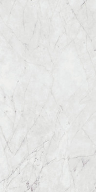 Керамогранит Sensi 900 Carrara Nat Ret 60x120 ABK матовый универсальный PF60012758 фото Керамогранит Sensi 900 Carrara Nat Ret 60x120 ABK матовый универсальный PF60012758