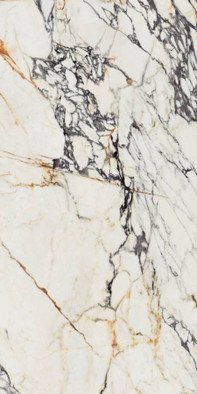 Керамогранит 0009066 Supreme Treasure Corchia Gold Nat 60х120, Flaviker матовый универсальный