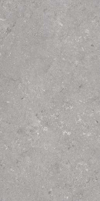 Керамогранит Shellstone Grigio 60x120 Dado Ceramica матовый универсальный 005485