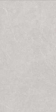 Керамогранит Elenta Ash Carving 60x120 Duna универсальная плитка 00-00864618