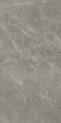 Керамогранит Marvel Grey Fleury 60x120 (A21F) Atlas Concorde Italy матовый универсальный фото Керамогранит Marvel Grey Fleury 60x120 (A21F) Atlas Concorde Italy матовый универсальный