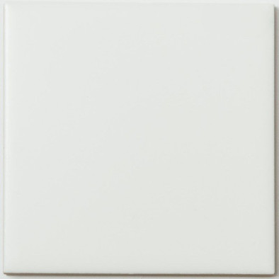 Мозаика FK-102M керамика матовая белая 10х10 см