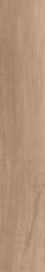 Керамогранит Cerdomus Antique Clay Fondi Nat.Rettificat (GL) 20x120 напольный матовый