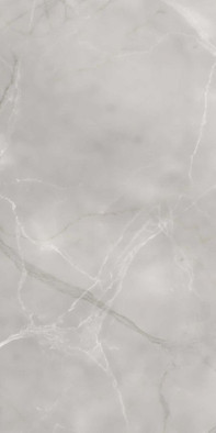 Керамогранит Armani Gris Absolut Gres 60х120 полированный универсальный