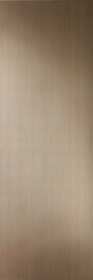 Керамогранит DL.FL.OR.ST RU 3000х1000х3.5 Arch Skin Design Metal структурированный универсальный