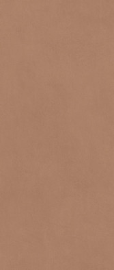 Настенная плитка Boost Expression Sienna 50х120 Atlas Concorde Italy матовая керамическая AYR9 фото Настенная плитка Boost Expression Sienna 50х120 Atlas Concorde Italy матовая керамическая AYR9