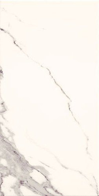 Настенная плитка W- white-30,8x60,8 матовая керамическая