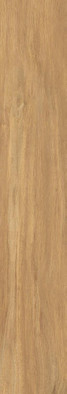 Керамогранит Bonsai Ocher 20x120 WIFI Ceramics матовый универсальный BNS212003 фото Керамогранит Bonsai Ocher 20x120 WIFI Ceramics матовый универсальный BNS212003