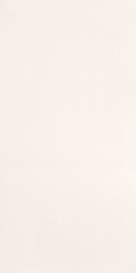 Настенная плитка W- white-29,8x59,8 матовая керамическая