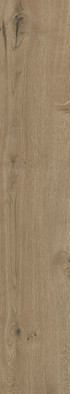 Керамогранит Dakota Natural 20х120 Gravita матовый напольный 78802612